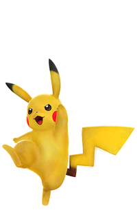 Pokkn